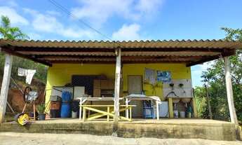 Imagem: Sítio 5 alqueires, Pomar, Casa ( Willian