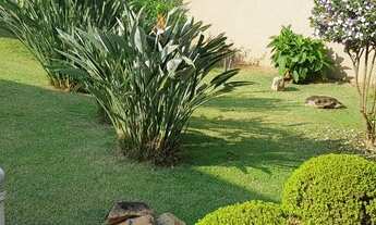 Imagem: Térrea para venda possui 380 metros quadrados