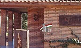 Imagem 3: TERRENO COM BARRACÃO E MAQUINARIO PARA VENDA EM SÃO MATEUS DO SUL 60.000m² - TE250