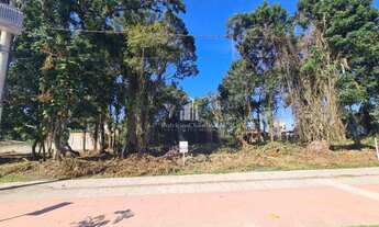 Imagem 4: 6 lotes totalizando uma área de 2.160m², na região central