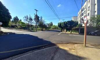 Imagem 3: Avenida Jose Munia