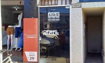 Imagem 3: Sala comercio Palmeiras av principal