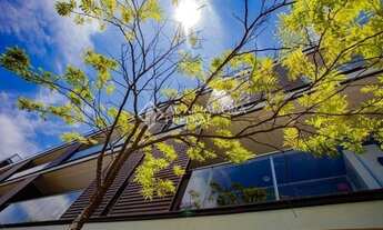 Imagem 2: FLORIANóPOLIS - Apartamento Padrão - João Paulo