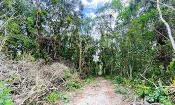 Imagem 2: Terreno para Venda - Praia Grande, Matinhos - 450m²