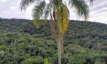 Imagem 2: Terreno imperdível