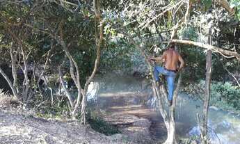 Imagem 3: Chácara 4.000m2 com cachoeira e vasta beleza natural