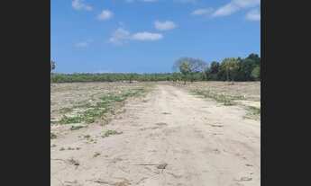 Imagem 6: Lote/Terreno a venda no Tabapuá em Caucaia - CE - Próximo ao Assai da Mister Hull