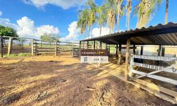 Imagem 6: Fazenda Premium 9.3 Alqueires ! Na Beira do Rio dos Bois - Varjão - GO !