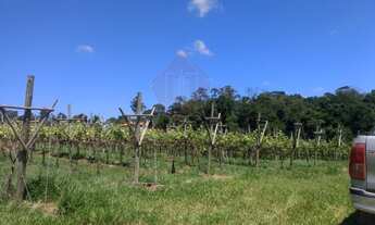 Imagem 7: TERRENO COMERCIAL em JUNDIAÍ - SP, HORTO FLORESTAL