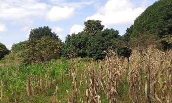 Imagem 4: Chácara na Vendinha Brazlandia DF