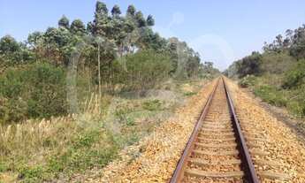 Imagem 7: Ótimo Lote/Terreno para venda tem 361538 m2 em Praia do Sol - Laguna - SC