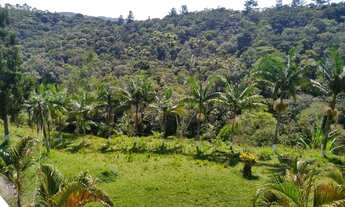 Imagem 5: Sítio ideal para lazer e moradia 02 Alqueires ótima localização