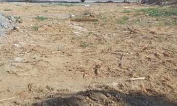 Imagem 4: Lote no parque olimpico