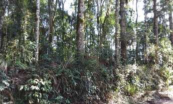 Imagem 4: Chácara Campo Largo -São Silvestre 2.594m² Registro Imóveis, 55Km Curitiba