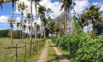 Imagem 2: A SUA OPORTUNIDADE PARA ADQUIRIR SUA FAZENDA PRATICAMENTE ÀS MARGENS DA BR. 324!!