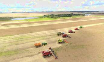 Imagem 4: Fazenda de 865 ha Em Antônio João - MS