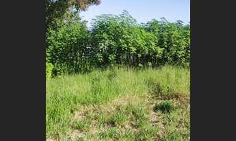 Imagem 2: Lote/Terreno para venda com 365 metros quadrados em Pinheirinho - Criciúma - Santa Catarin