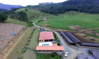 Imagem 3: A melhor fazenda p gado de corte e leite em Luis Alves-SC