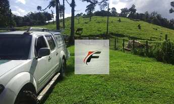 Imagem 6: Chácara com 3 dormitórios à venda, 363000 m² por R$ 950.000,00 - Zona Rural - Tijucas do S