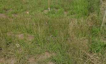 Imagem 2: Vila Velha - Loteamento/Condomínio - Balneário Ponta da Fruta