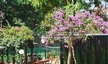 Imagem 4: PAULíNIA - Terreno Padrão - Boa Esperança