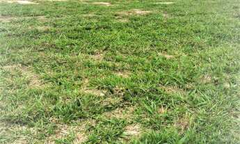 Imagem 6: Lote Comercial - Industrial a Venda em Tremembé - São Paulo