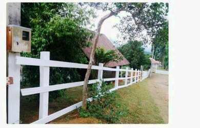 Imagem 7: Excelente Chácara