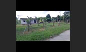 Imagem: Vendo Sítio Ramal do Pau Rosa