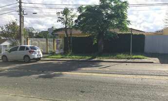 Imagem 3: Casa térrea com 3 quartos no Jardim das Américas - Curitiba - PR