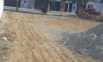 Imagem 5: Lote no parque olimpico