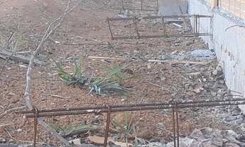 Imagem 4: Meio lote murado