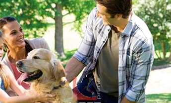 Imagem 2: Terreno em Condomínio Vale das Aguas Brag. Pta