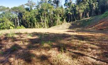 Imagem 3: Sitio 5000 m² Guaramirim