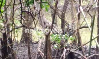 Imagem 6: Venda Lote-Área-Terreno Sambaqui Florianópolis