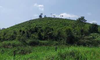 Imagem 2: Sítio 14 Alqueires 12 Alqueires aberto ( Willian Ricardo