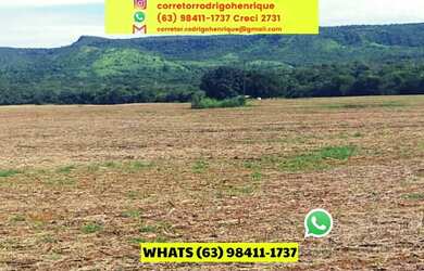 Imagem 15: Fazenda Dupla Aptidão em Lavoura Porto Nacional