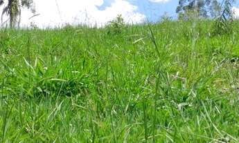 Imagem 7: Vendo meu terreno em Santa Isabel