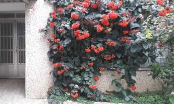 Imagem: Sobrado para aluguel possui 350 metros quadrados