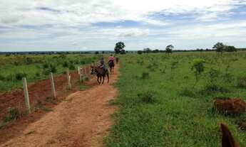 Imagem 7: Fazenda/Sítio/Chácara para venda possui 323 alqueires , Santa Vitória