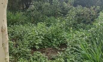 Imagem 6: Fazenda para Venda em Senador Modestino Gonçalves, zona rural, 2 dormitórios, 1 banheiro