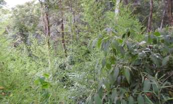 Imagem 4: TERRENO CAXAMBÚ 5000M² ACEITA FINANCIAMENTO