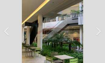 Imagem: Patteo Bosque Maia