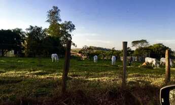 Imagem 4: Sitio Laranjal Paulista S. Paulo