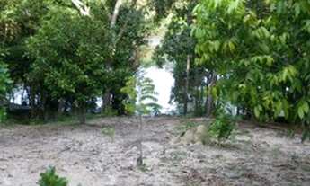 Imagem 7: Terreno no Ramal do Caldeirao