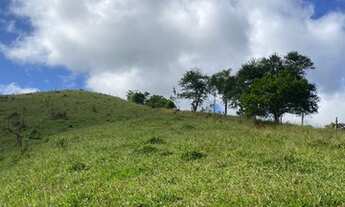 Imagem 1: K46-Venha conhecer esse novo sucesso de vendas!!