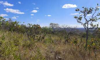 Imagem 4: Terreno com 20.000 metros quadrados com preço a partir de 140.000
