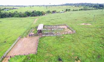 Imagem: 50 Alqueires dupla aptidão Machadinho-RO