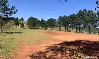 Imagem 7: Área Industrial para Venda em Cajamar, Polvilho