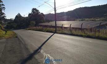 Imagem 6: Terreno 9.000 m² Santa Fé Caxias do Sul