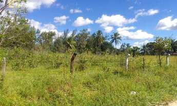 Imagem 4: Terreno à venda, 3 m² por R$ 250.000,00 - Patacas - Aquiraz/CE